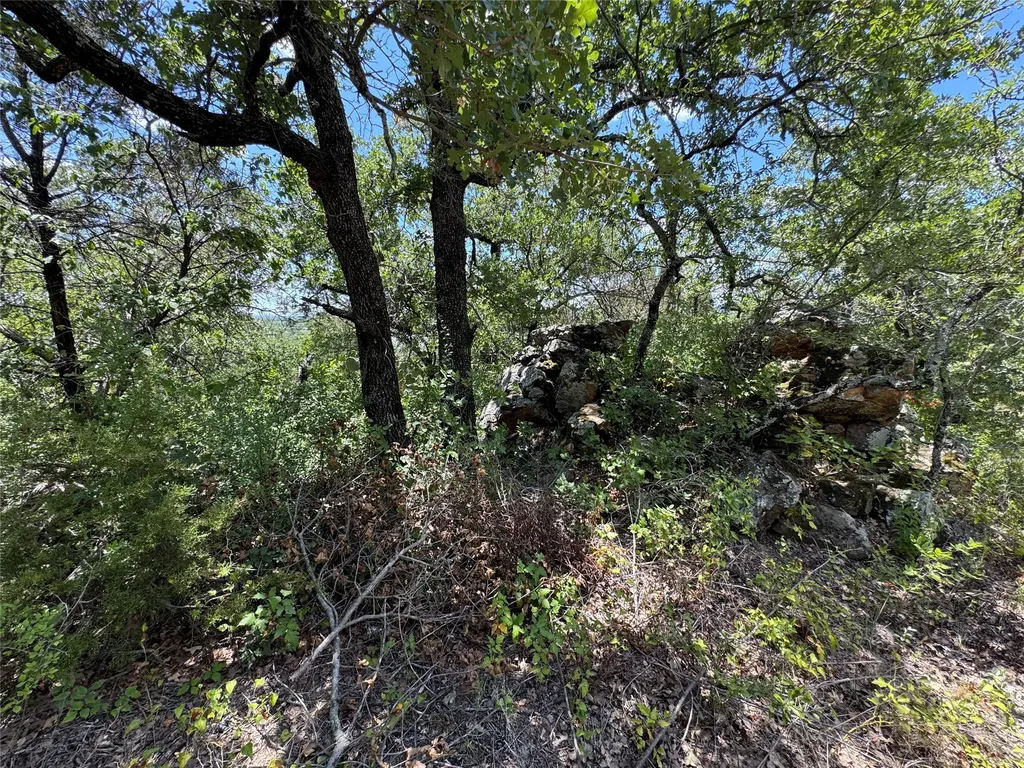 1002 Boulder Drive Gordon TX 76453