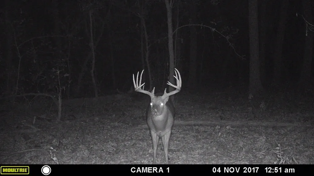 3875 Fm 121 Van Alstyne TX 75495