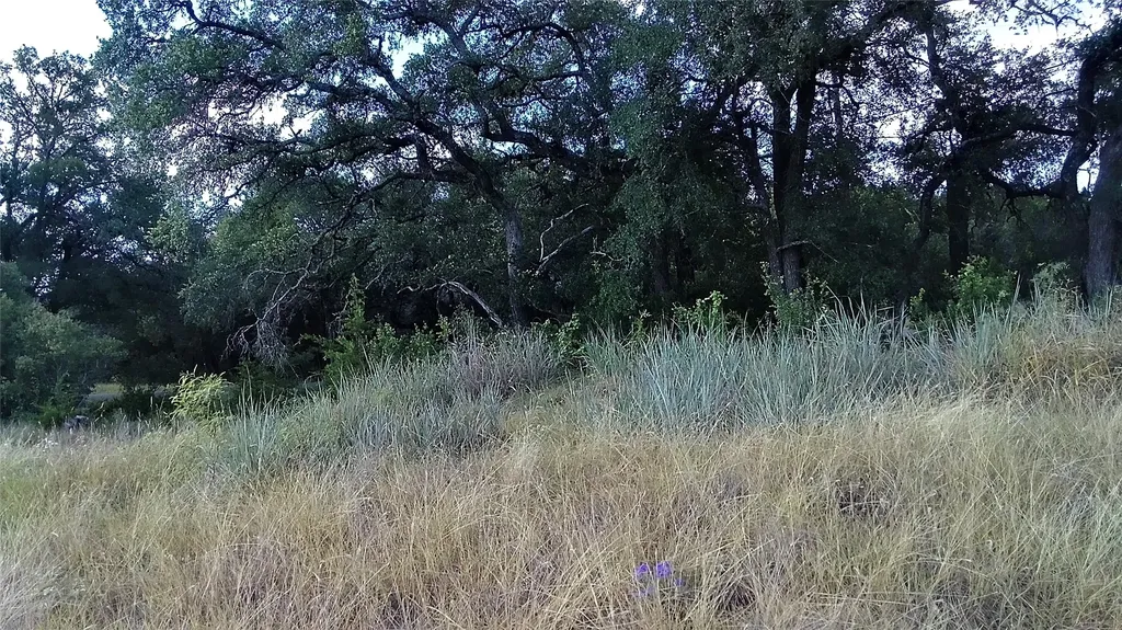 4805 Lookout Ridge Drive Marble Falls TX 78654