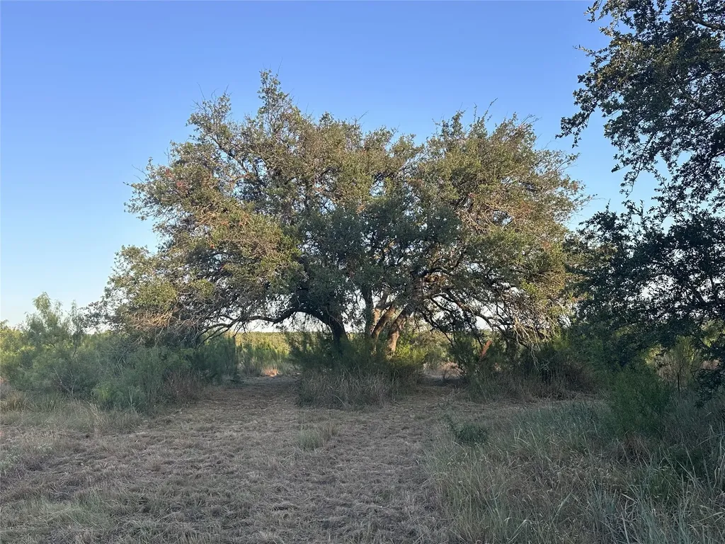 4805 Lookout Ridge Drive Marble Falls TX 78654