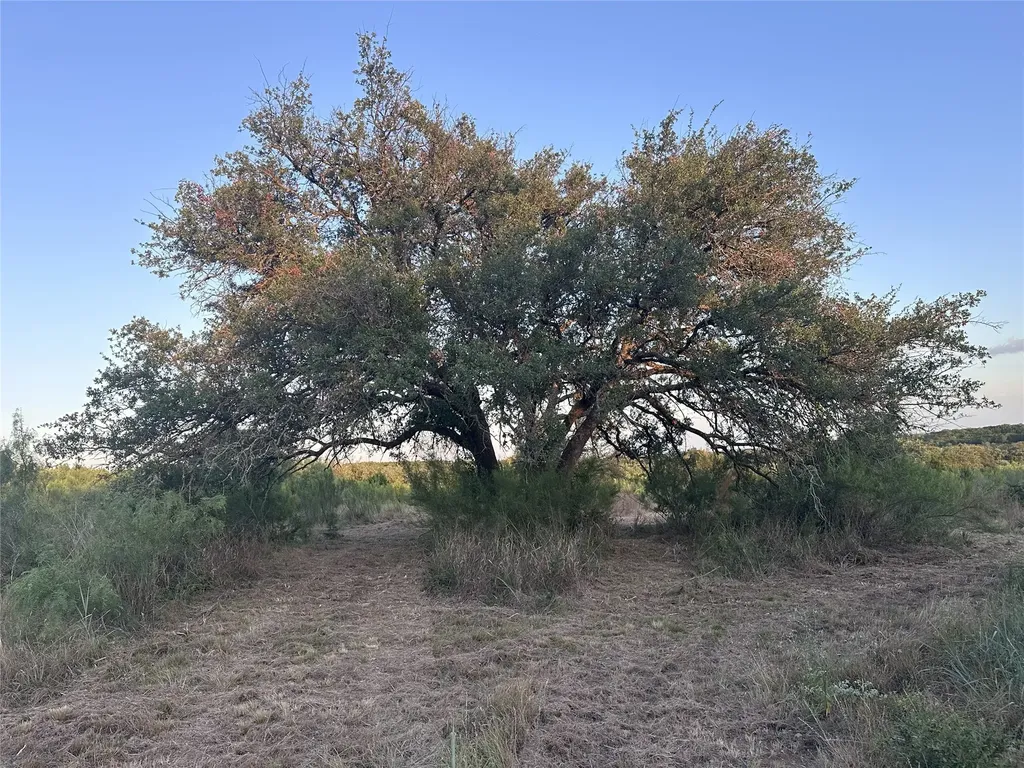4805 Lookout Ridge Drive Marble Falls TX 78654