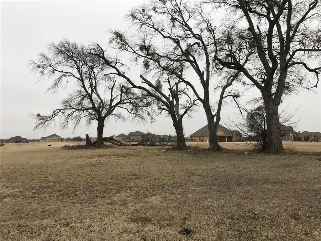1922 Running Deer Lane Gunter TX 75058