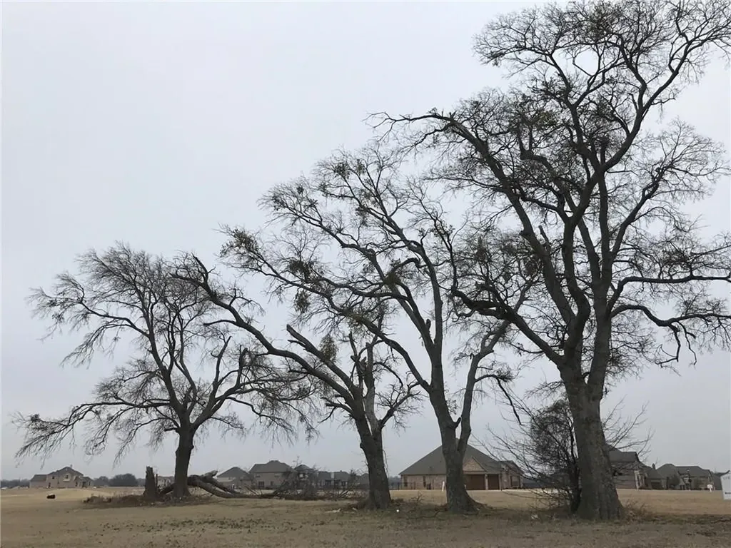 1922 Running Deer Lane Gunter TX 75058