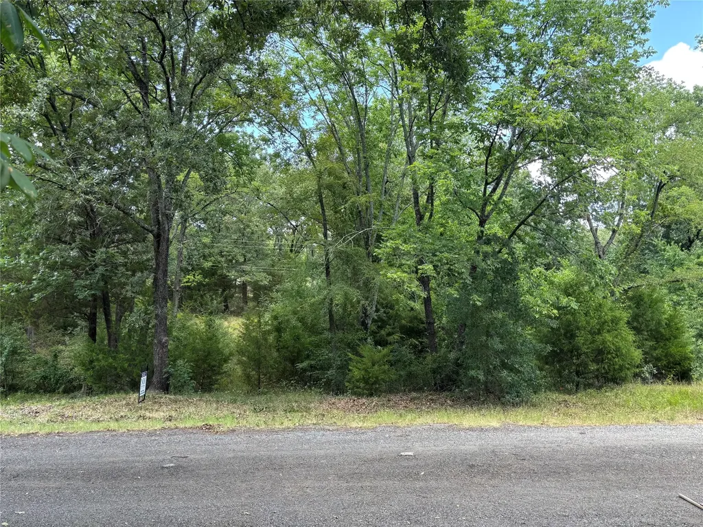 6132 Tejas Drive Mabank TX 75156