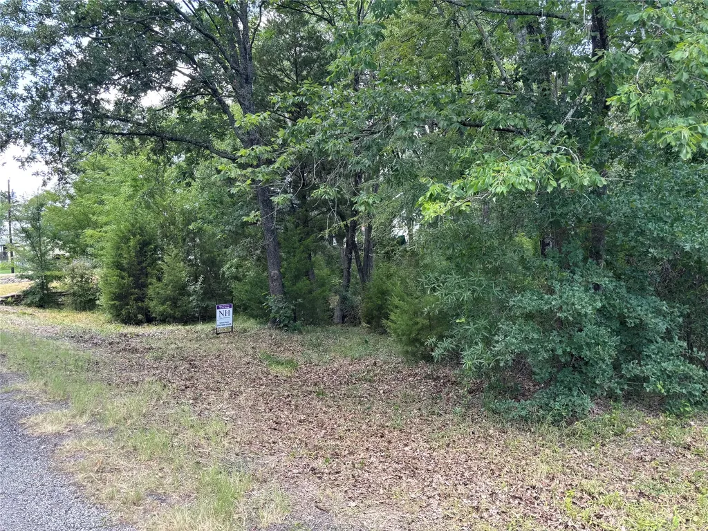 6132 Tejas Drive Mabank TX 75156