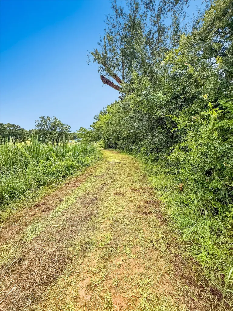 9224 County Road 1200 Athens TX 75751