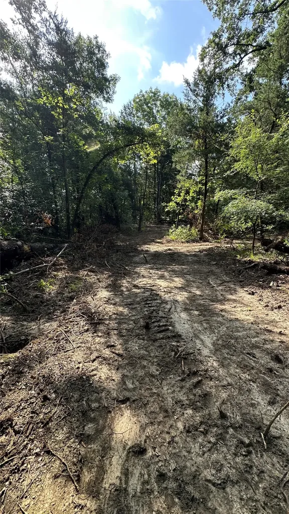 000 E Farm Road 71 Dike TX 75437