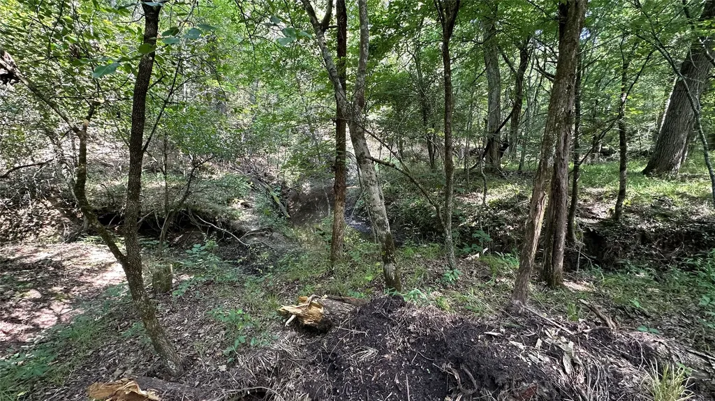 000 E Farm Road 71 Dike TX 75437