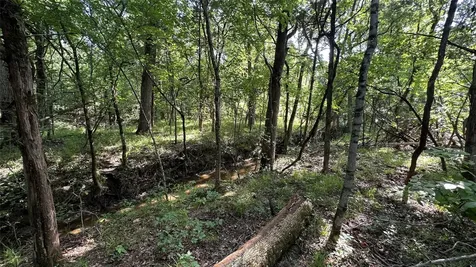 000 E Farm Road 71 Dike TX 75437
