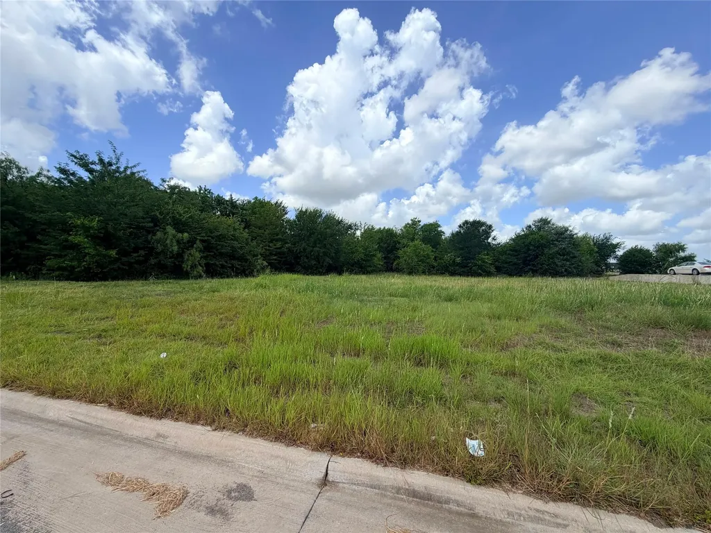 6254 Turkey Oak Royse City TX 75189