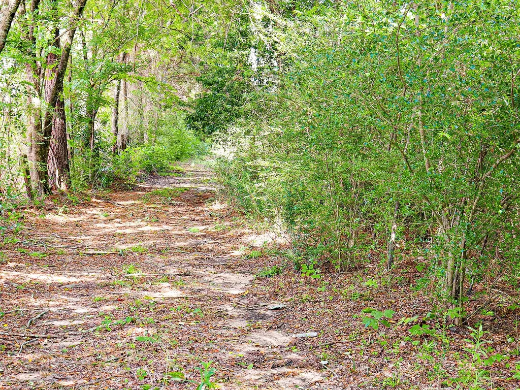 10375 County Road 338 Lindale TX 75771