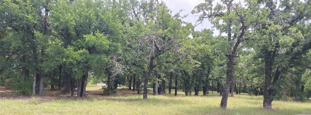 699 County Road 529 Eastland TX 76448