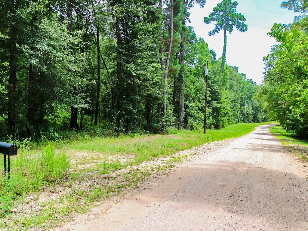 105 Gourd Creek Drive Huntsville TX 77340