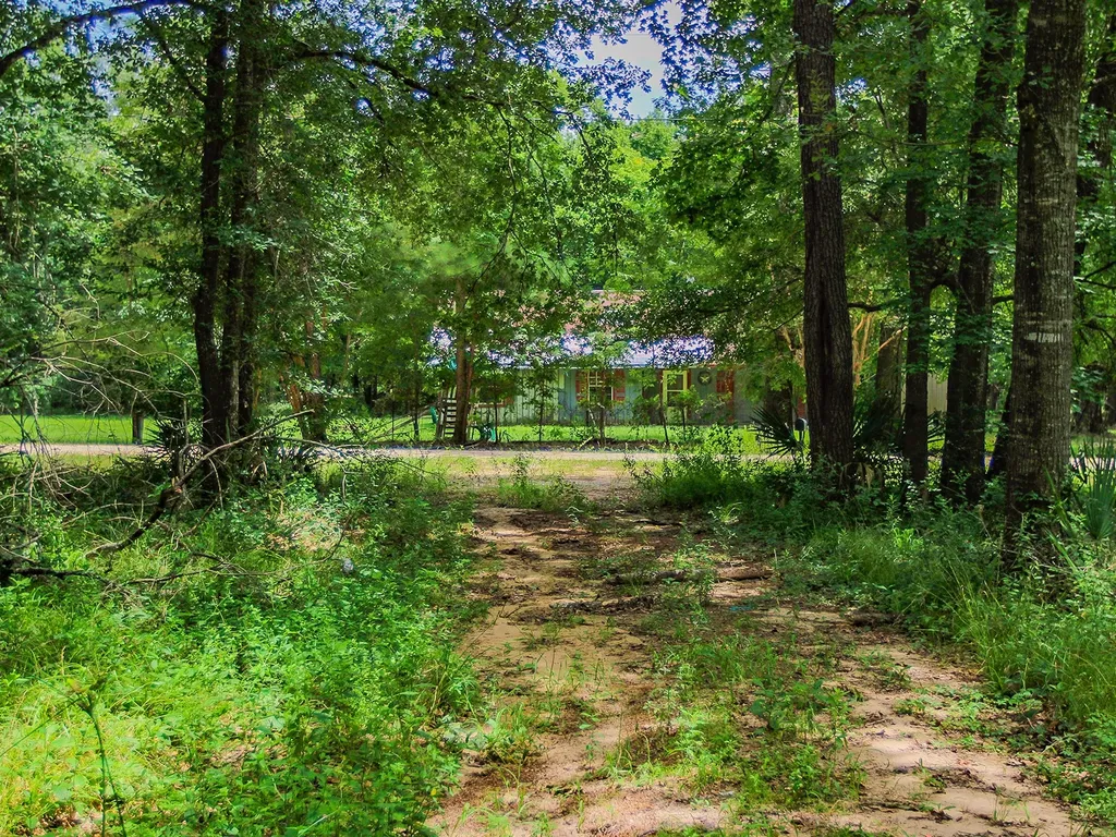 105 Gourd Creek Drive Huntsville TX 77340