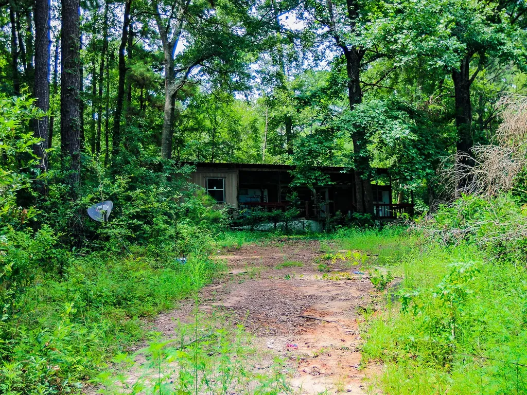 105 Gourd Creek Drive Huntsville TX 77340