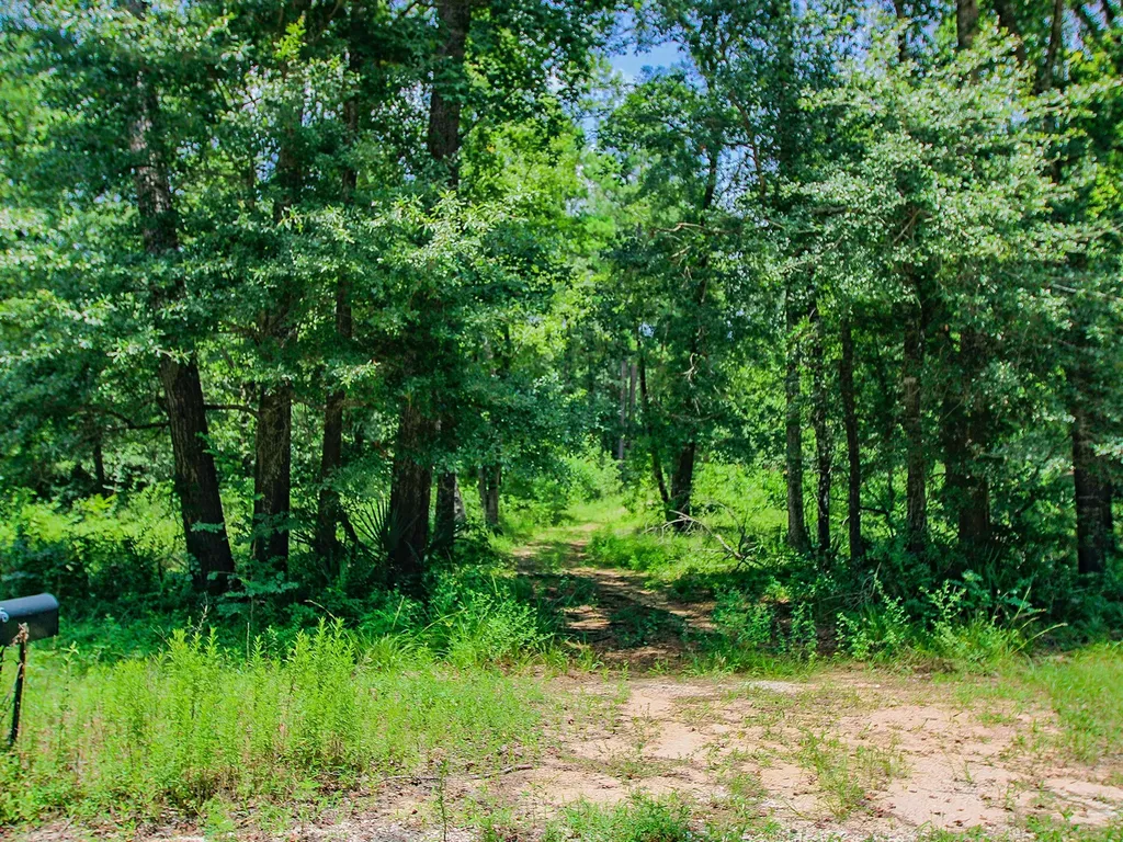 105 Gourd Creek Drive Huntsville TX 77340