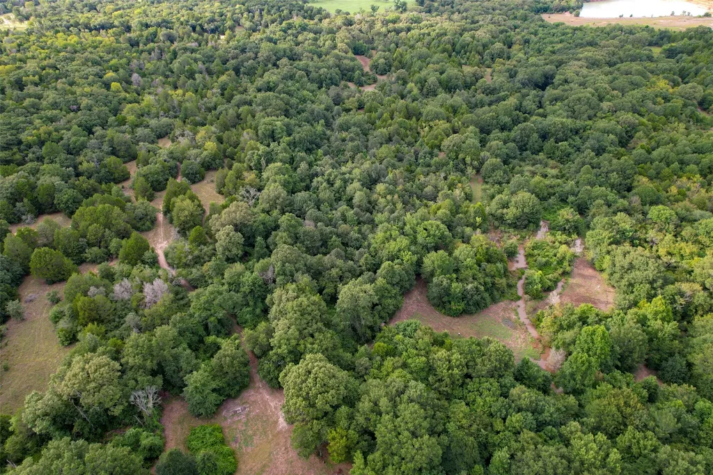 8690 County Road 1119 Athens TX 75751
