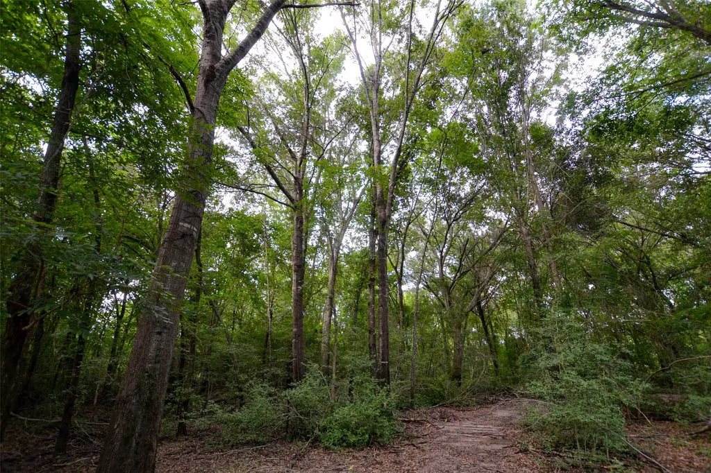 8690 County Road 1119 Athens TX 75751