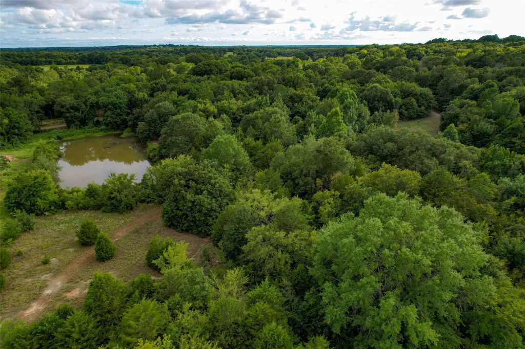 8690 County Road 1119 Athens TX 75751