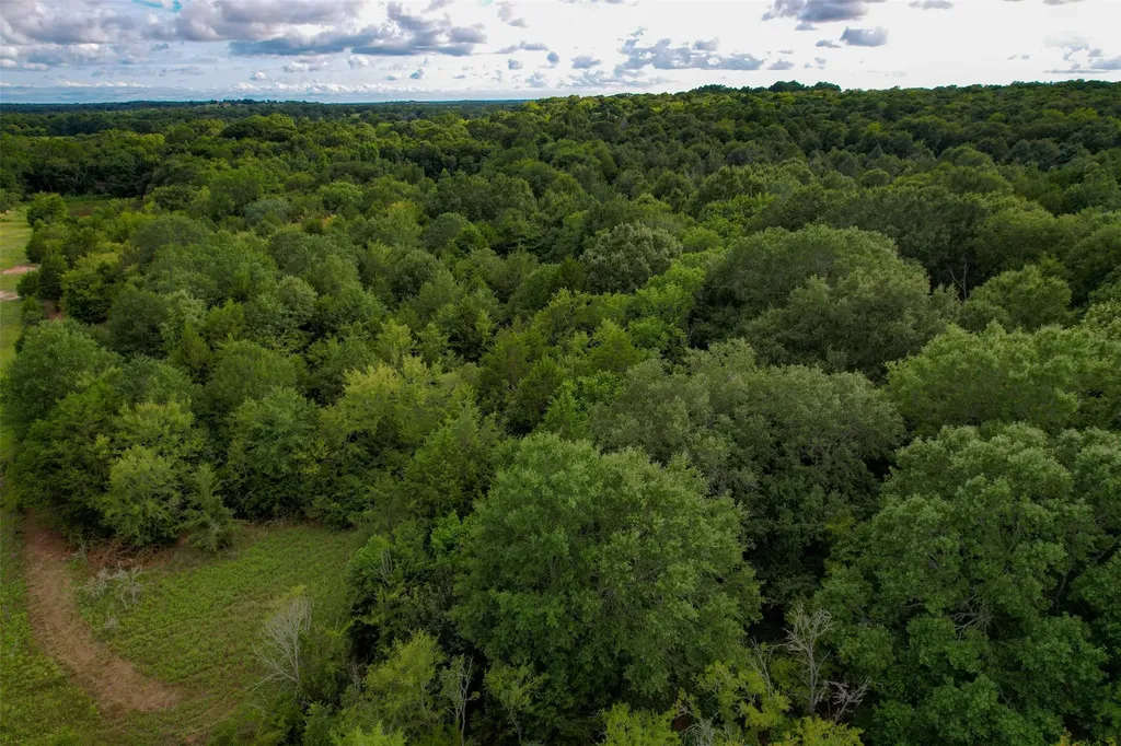 8690 County Road 1119 Athens TX 75751