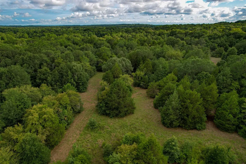 8690 County Road 1119 Athens TX 75751