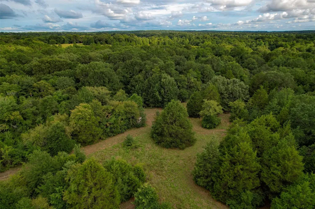 8690 County Road 1119 Athens TX 75751