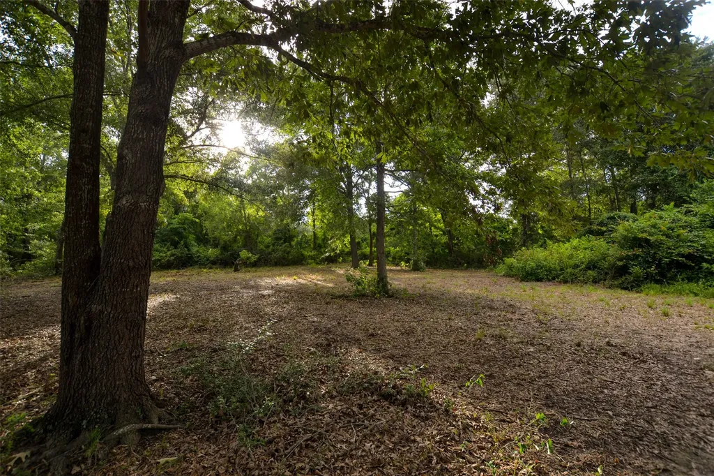8690 County Road 1119 Athens TX 75751