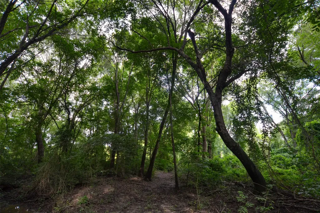 8690 County Road 1119 Athens TX 75751