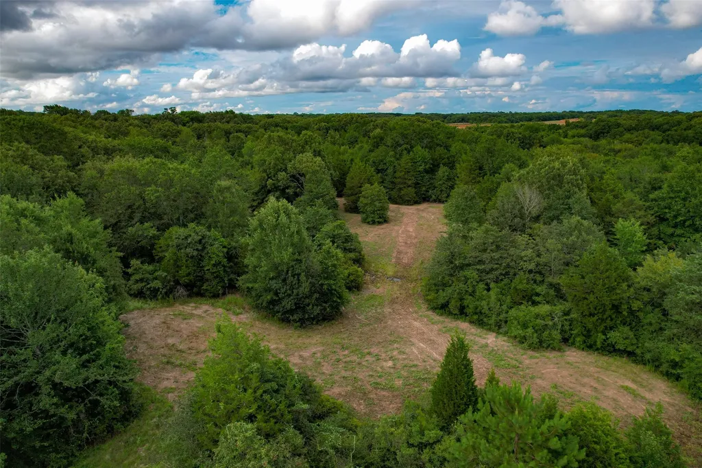 8690 County Road 1119 Athens TX 75751