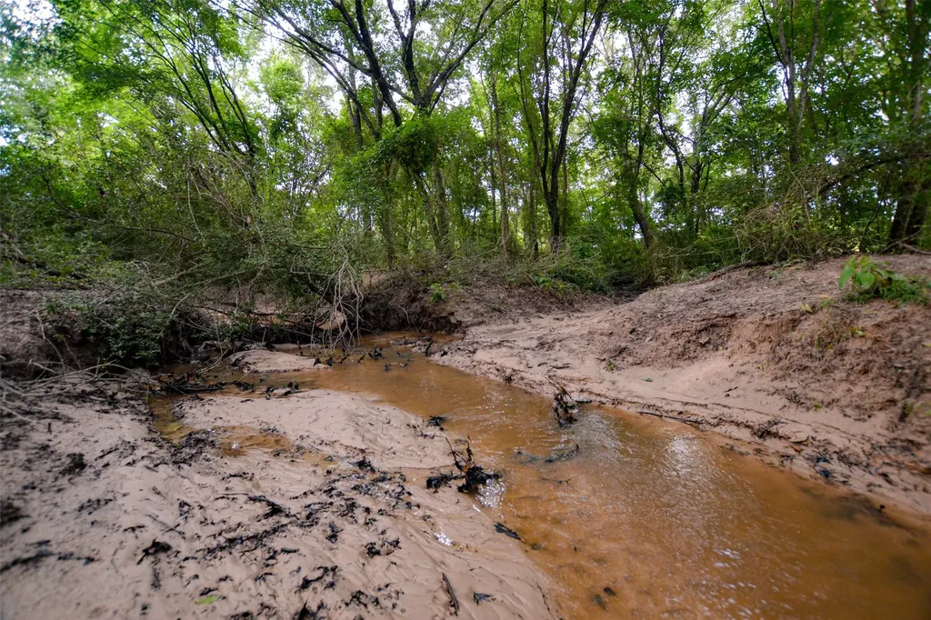 8690 County Road 1119 Athens TX 75751