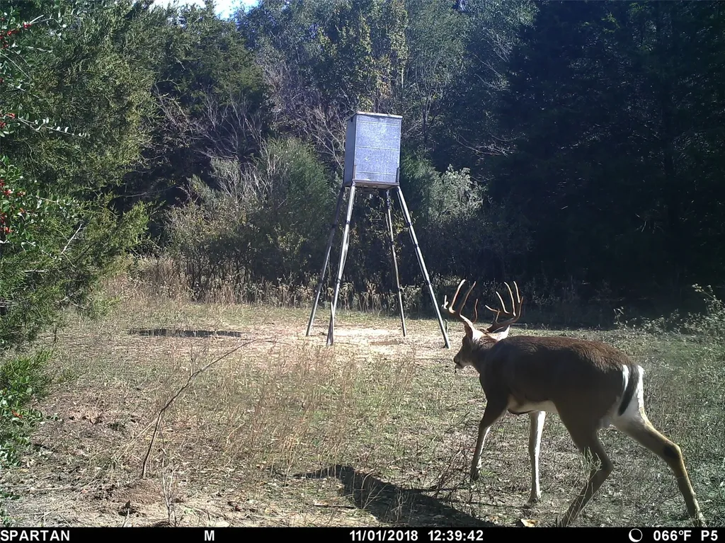 8690 County Road 1119 Athens TX 75751