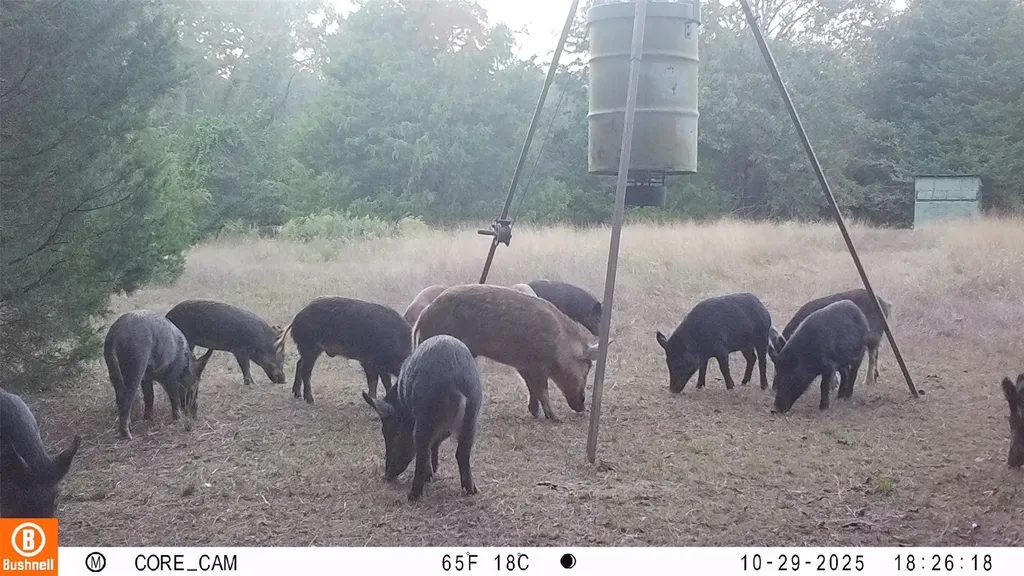 8690 County Road 1119 Athens TX 75751