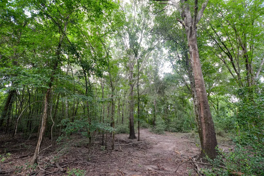 8690 County Road 1119 Athens TX 75751