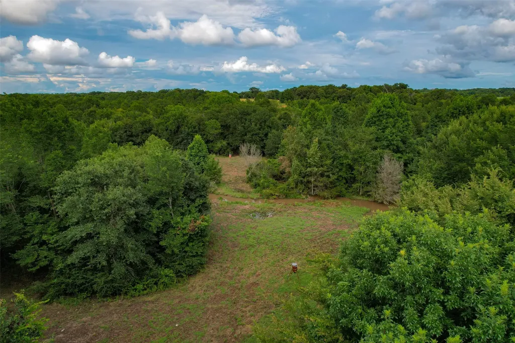 8690 County Road 1119 Athens TX 75751
