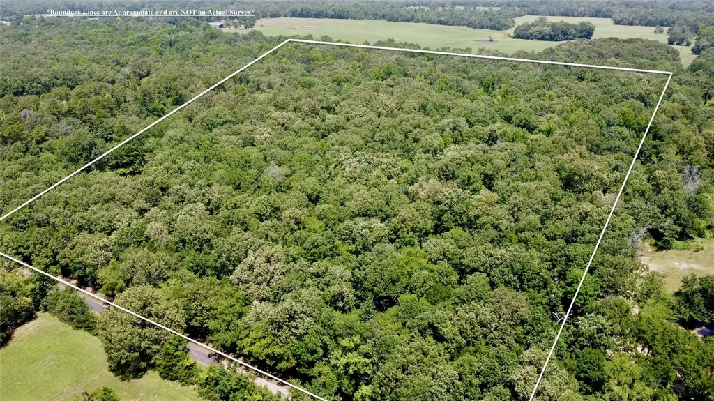 Tract 7 Cr 44400 Powderly TX 75473