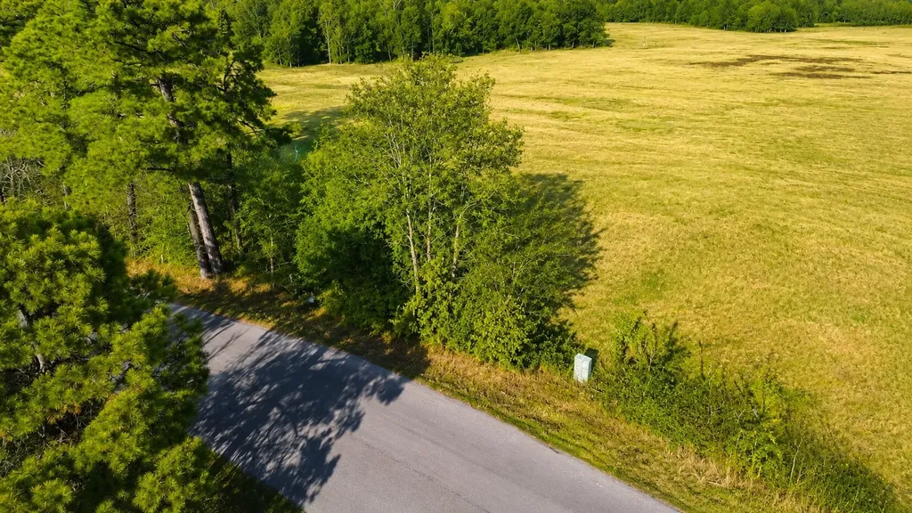 562 Cr 4430 Winnsboro TX 75494