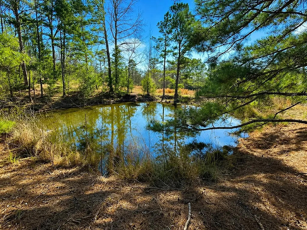 562 Cr 4430 Winnsboro TX 75494