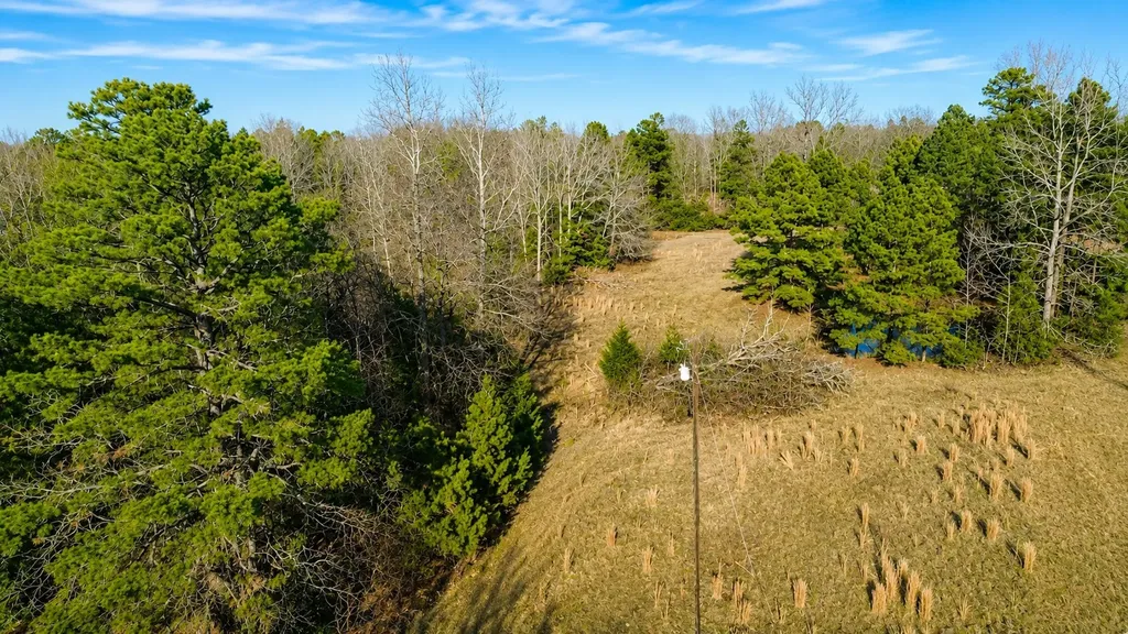 562 Cr 4430 Winnsboro TX 75494