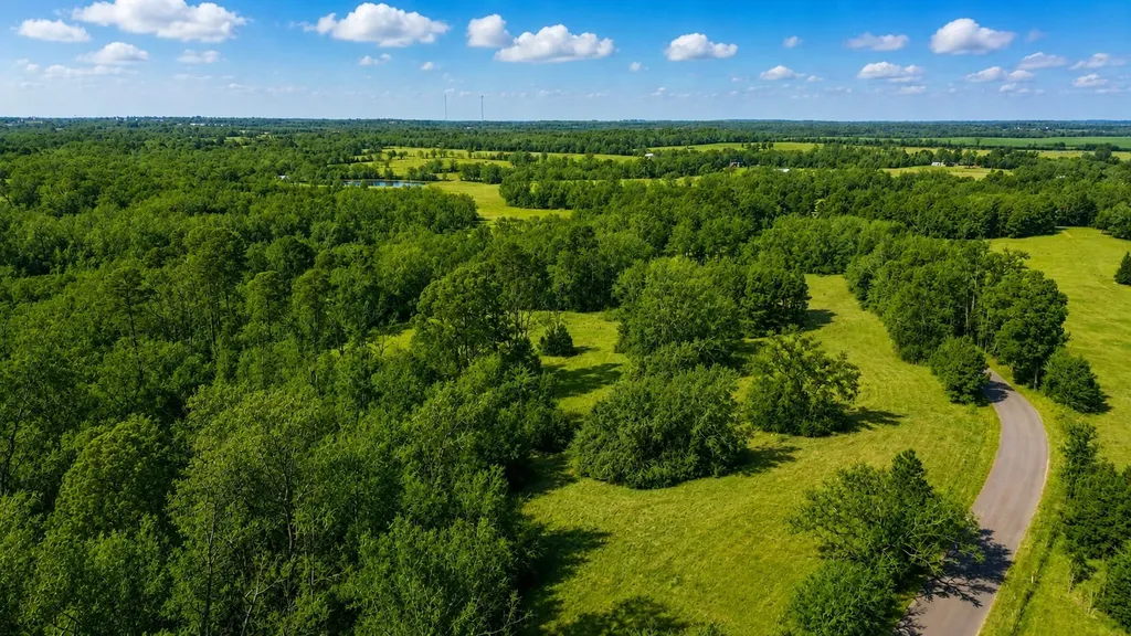 562 Cr 4430 Winnsboro TX 75494