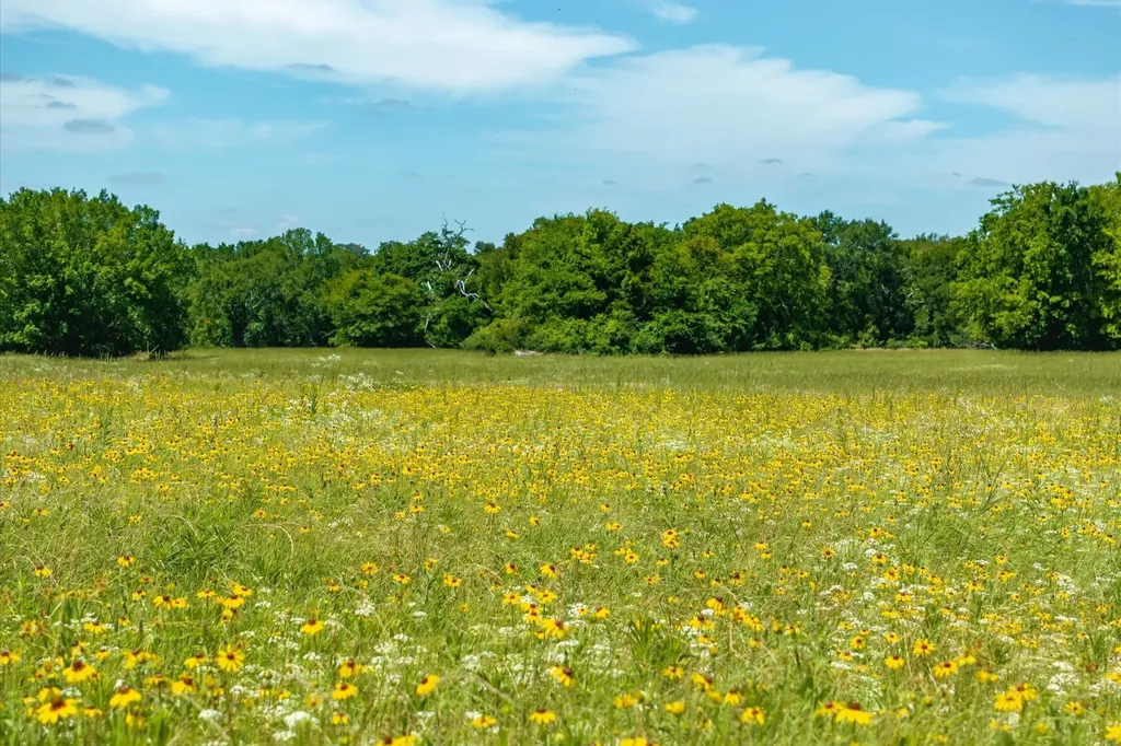 Lot 2 State Highway 19 Emory TX 75440