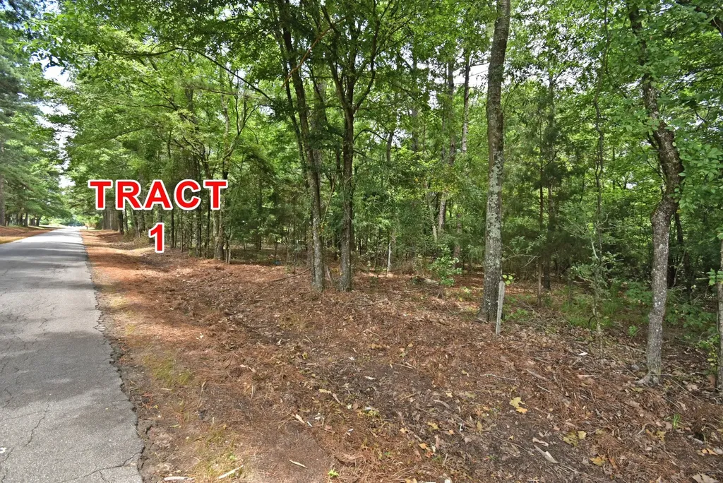 Tract 1 County Road 3117 Clarksville TX 75426