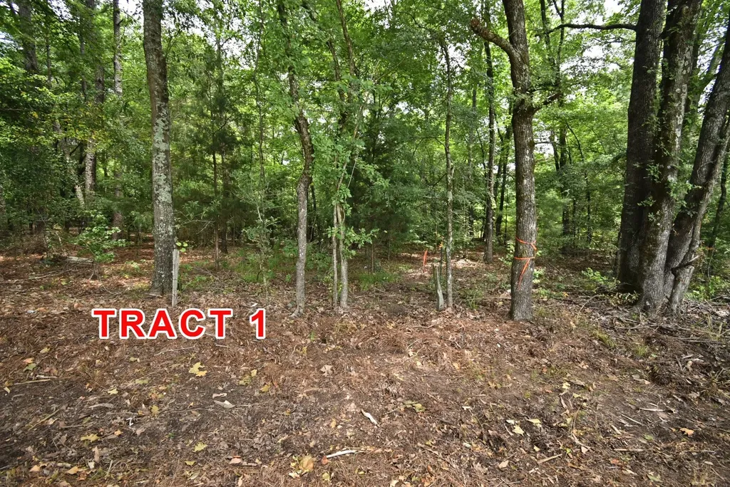 Tract 1 County Road 3117 Clarksville TX 75426