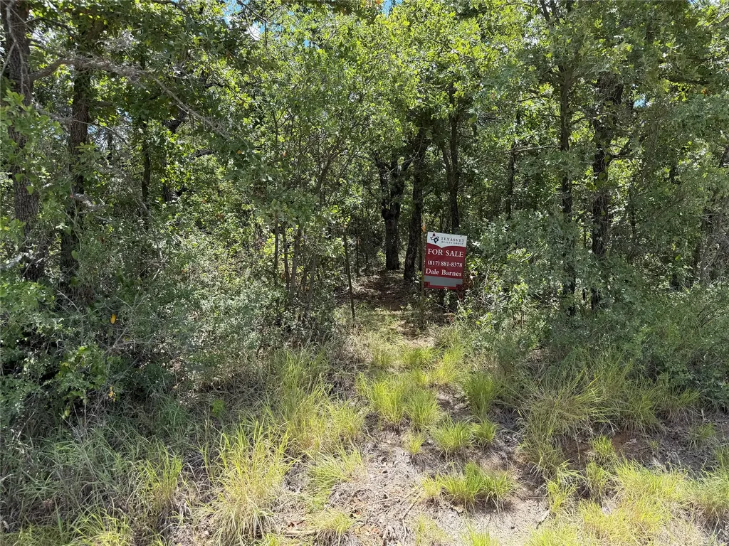 0 Edgin Road Bowie TX 76230