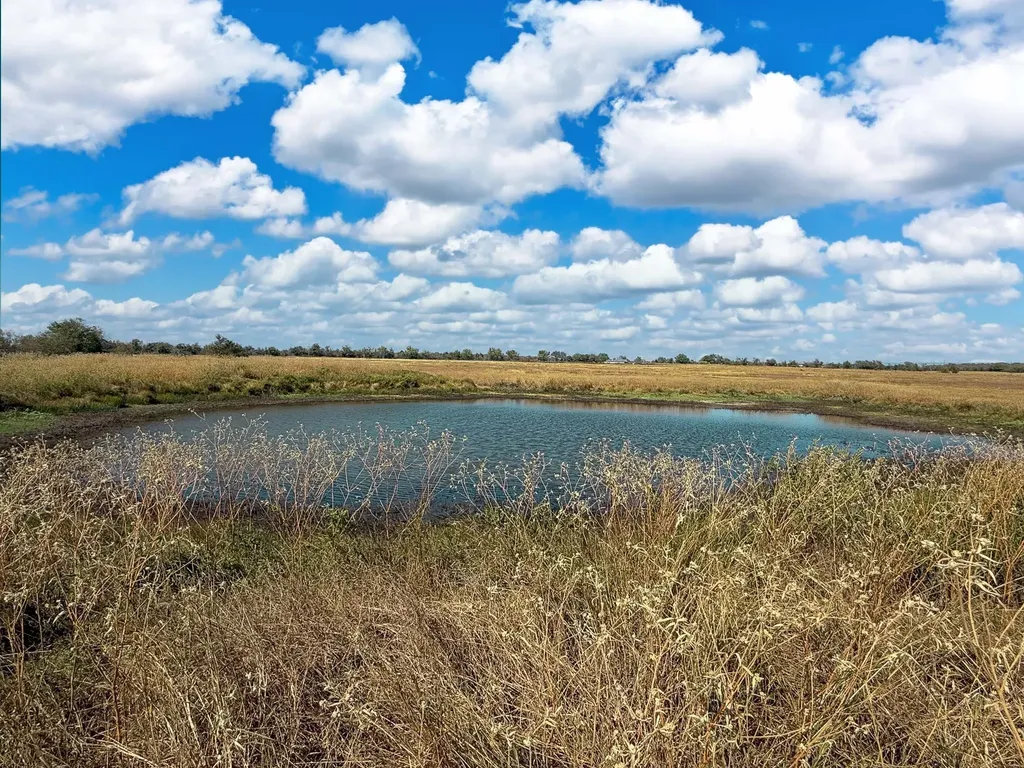 Tbd Fm 2745 Kosse TX 76653