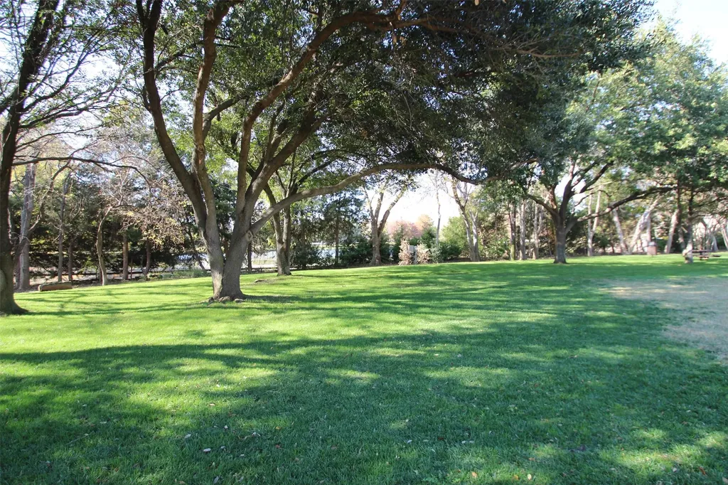 18620 Gibbons Drive Dallas TX 75287