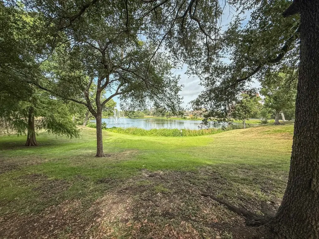808 Blaylock Drive Dallas TX 75203