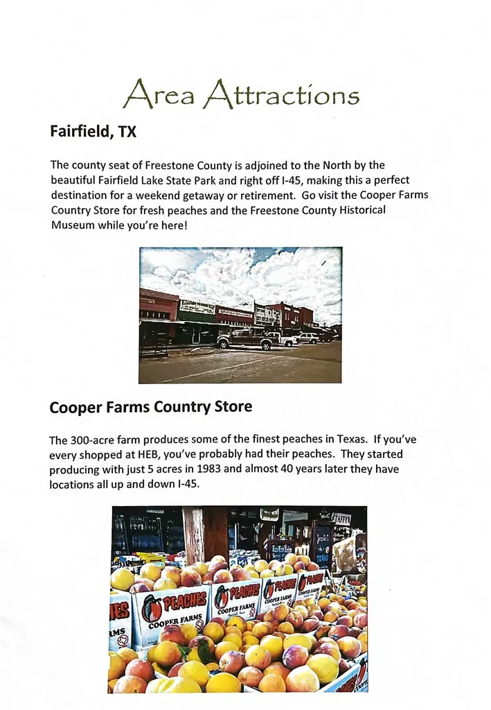Lot 19 Fm 489 E Fairfield TX 75840