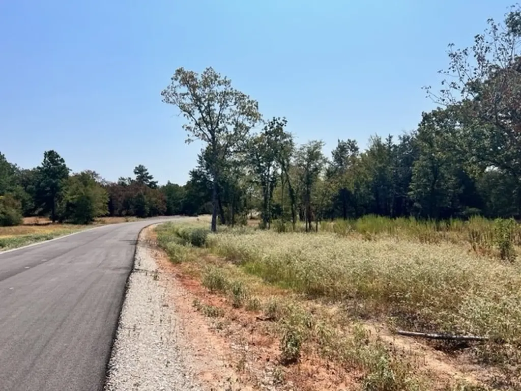 Lot 19 Fm 489 E Fairfield TX 75840