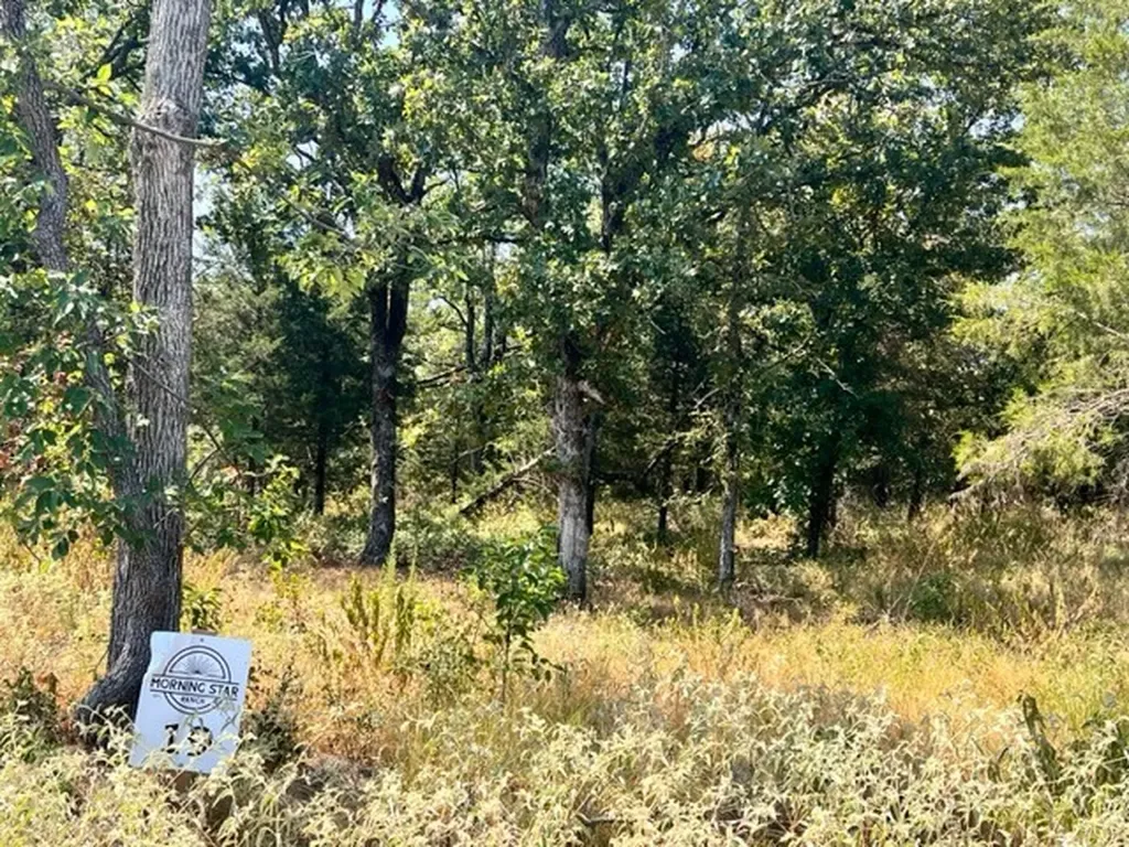 Lot 19 Fm 489 E Fairfield TX 75840