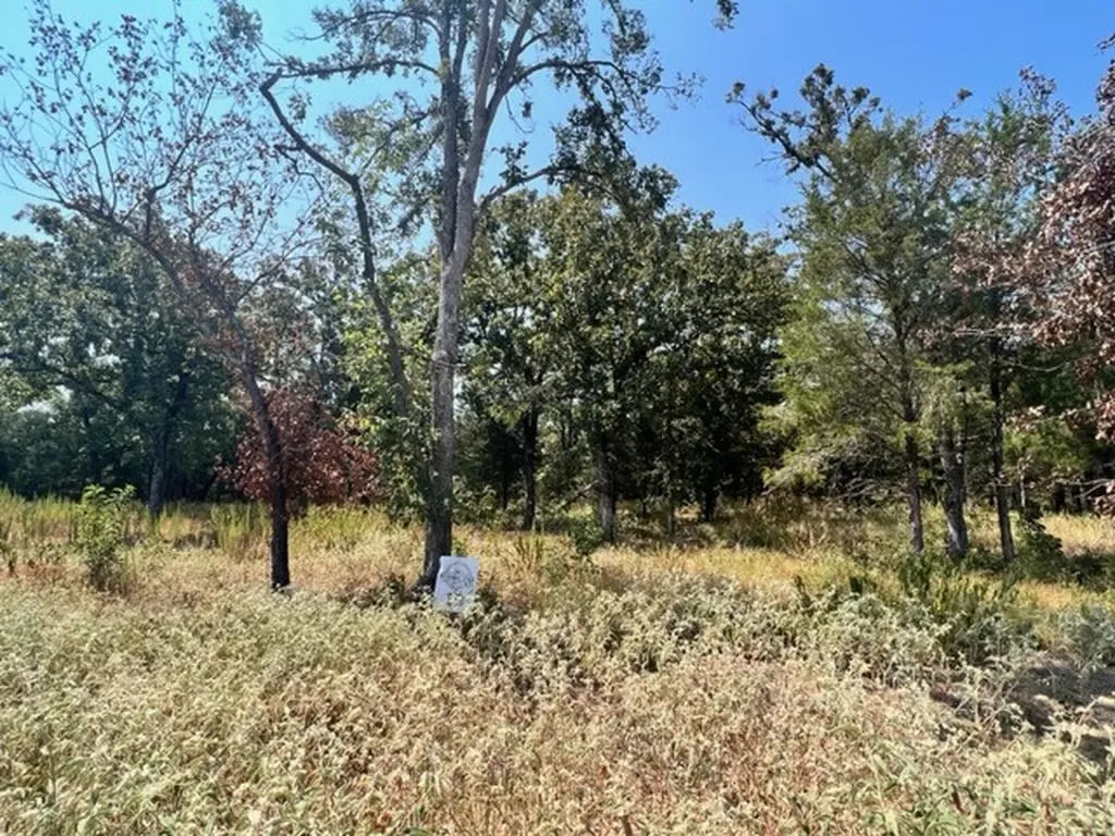 Lot 19 Fm 489 E Fairfield TX 75840